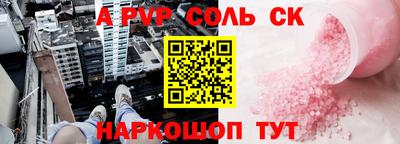 гашик Кингисепп
