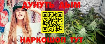 гашик Кингисепп