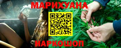 гашик Кингисепп