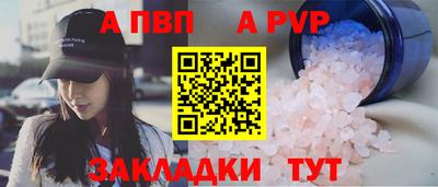гашик Кингисепп