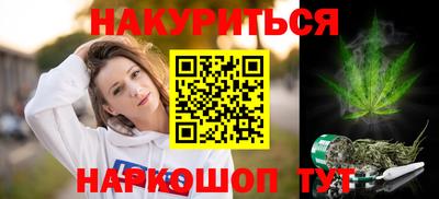 гашик Кингисепп