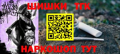 гашик Кингисепп