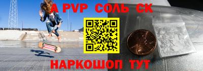 гашик Кингисепп