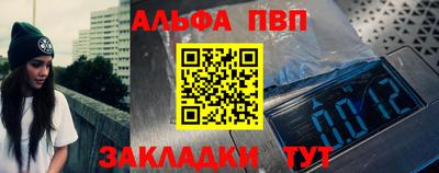 гашик Кингисепп