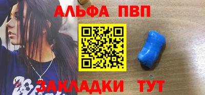 гашик Кингисепп