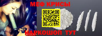 гашик Кингисепп
