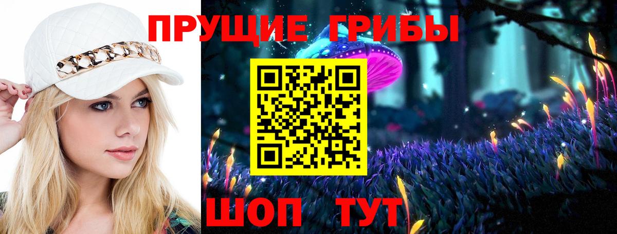 Псилоцибиновые грибы прущие грибы  Вход с VPN  Киселёвск 