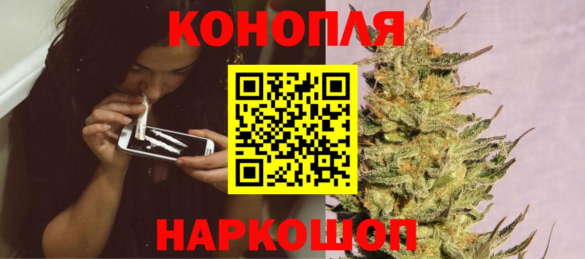 Бошки марихуана SATIVA & INDICA  Вход с VPN  Бошки марихуана конопля  Канабис SATIVA & INDICA  Киселёвск 